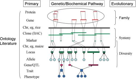 https://cdn.ncbi.nlm.nih.gov/pmc/blobs/025d/2238951/ab3c6a2fc8ab/gkm968f1.jpg