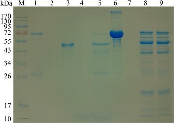 https://cdn.ncbi.nlm.nih.gov/pmc/blobs/025e/5395858/5af149cb1f68/13071_2017_2137_Fig5_HTML.jpg