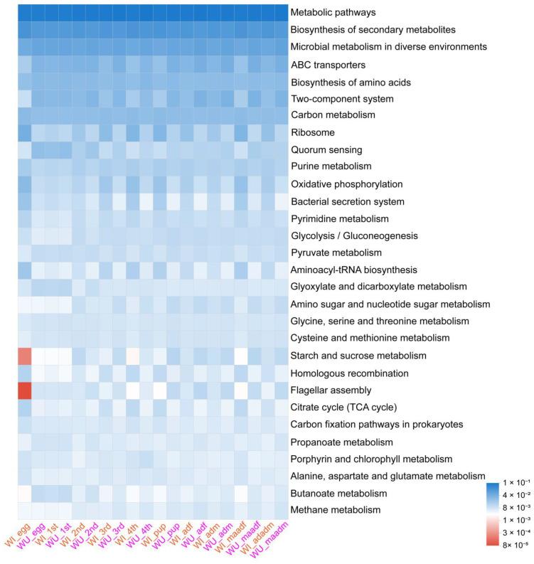 https://cdn.ncbi.nlm.nih.gov/pmc/blobs/025f/10888865/2ee2624ea0aa/insects-15-00132-g006.jpg