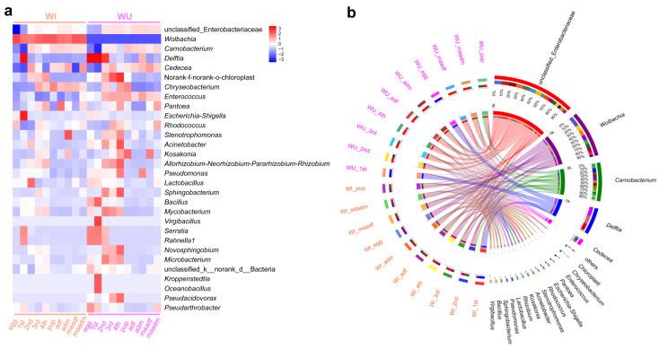 https://cdn.ncbi.nlm.nih.gov/pmc/blobs/025f/10888865/634fa2136aab/insects-15-00132-g004.jpg
