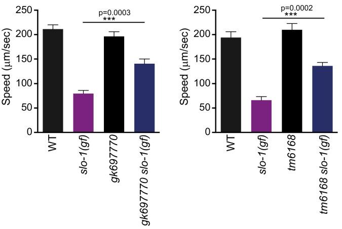 https://cdn.ncbi.nlm.nih.gov/pmc/blobs/025f/5295816/a4f6860b78ba/elife-24733-fig1-figsupp2.jpg