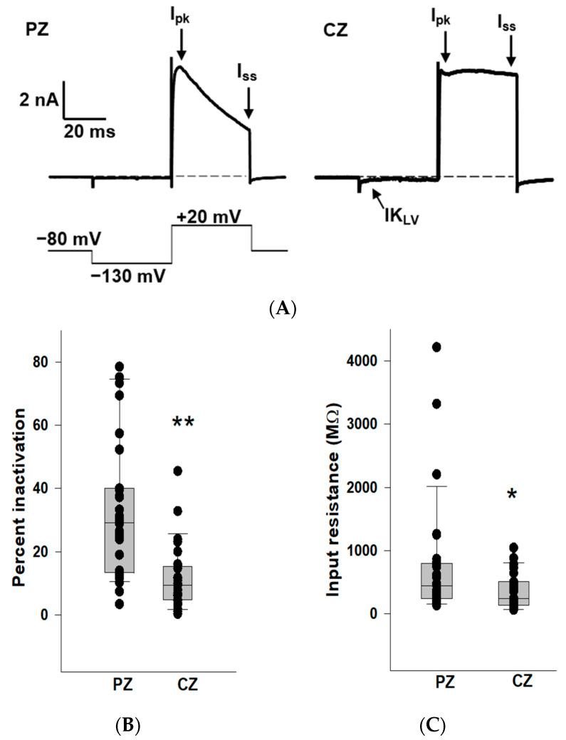 https://cdn.ncbi.nlm.nih.gov/pmc/blobs/0262/11354711/797f562ce325/ijms-25-08801-g001.jpg