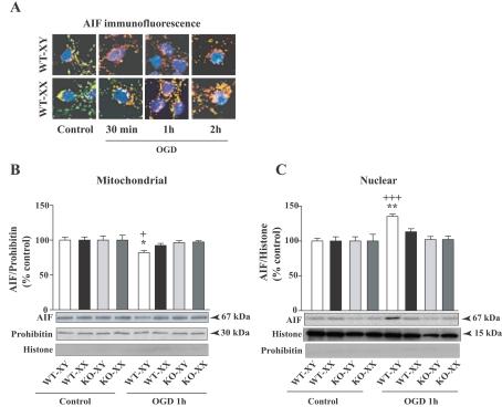 https://cdn.ncbi.nlm.nih.gov/pmc/blobs/0263/3072765/c792f518bfee/an003e056f03.jpg