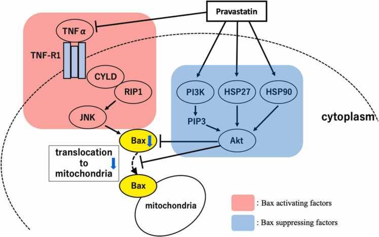 https://cdn.ncbi.nlm.nih.gov/pmc/blobs/0266/9958423/ecf9cb7e1b4a/gr5.jpg