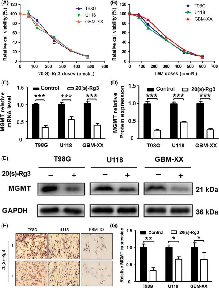 https://cdn.ncbi.nlm.nih.gov/pmc/blobs/0268/6317960/0eb727501fb6/CAS-110-389-g001.jpg
