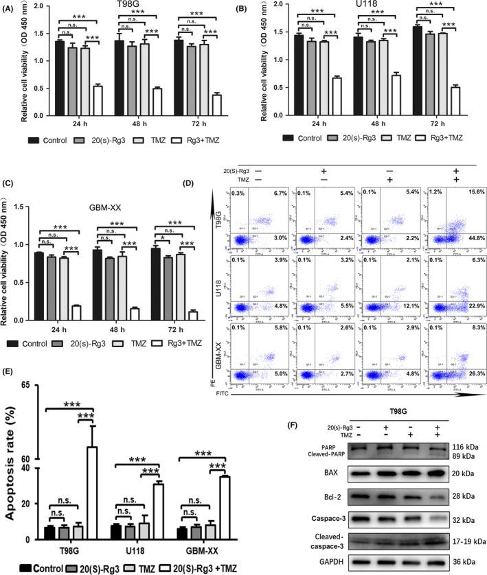 https://cdn.ncbi.nlm.nih.gov/pmc/blobs/0268/6317960/35f76a648a41/CAS-110-389-g003.jpg