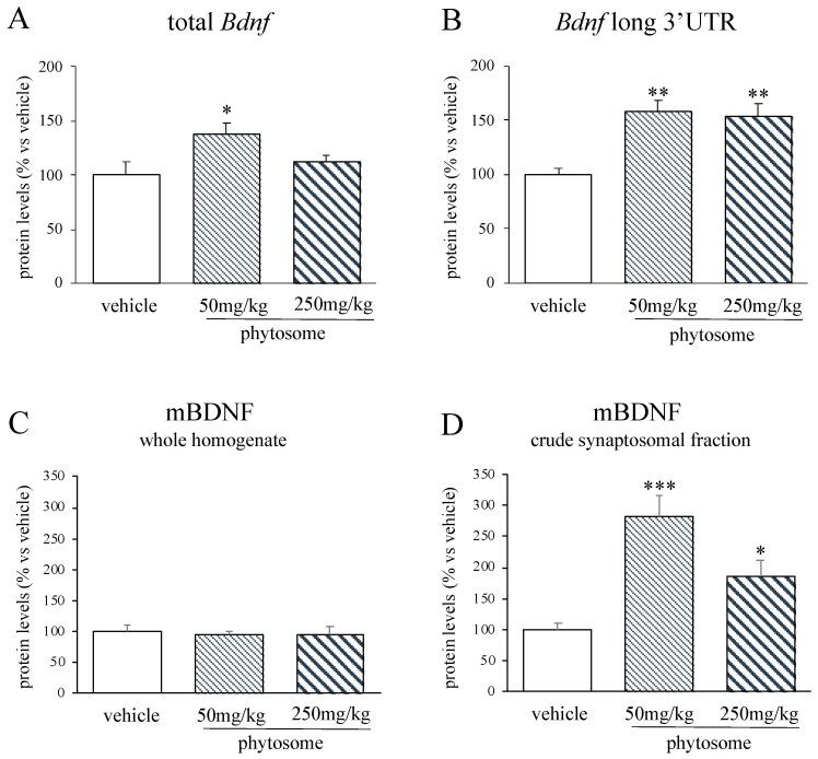https://cdn.ncbi.nlm.nih.gov/pmc/blobs/0269/7761389/a44942c7128a/biomedicines-08-00544-g002.jpg