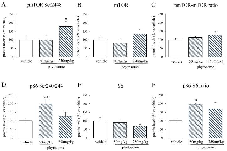 https://cdn.ncbi.nlm.nih.gov/pmc/blobs/0269/7761389/cb55e8f1f94f/biomedicines-08-00544-g004.jpg