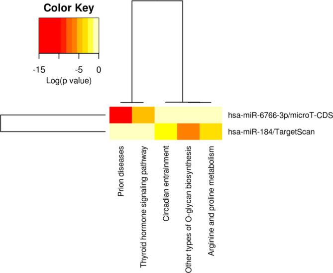 https://cdn.ncbi.nlm.nih.gov/pmc/blobs/026a/11436921/2551d06744ac/41598_2024_72737_Fig6_HTML.jpg