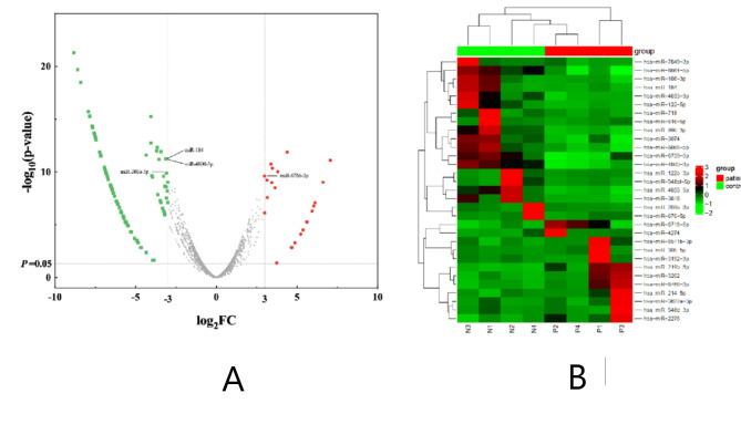 https://cdn.ncbi.nlm.nih.gov/pmc/blobs/026a/11436921/4e88e6f65179/41598_2024_72737_Fig2_HTML.jpg