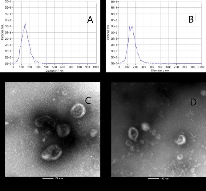 https://cdn.ncbi.nlm.nih.gov/pmc/blobs/026a/11436921/78dcd95622ef/41598_2024_72737_Fig1_HTML.jpg
