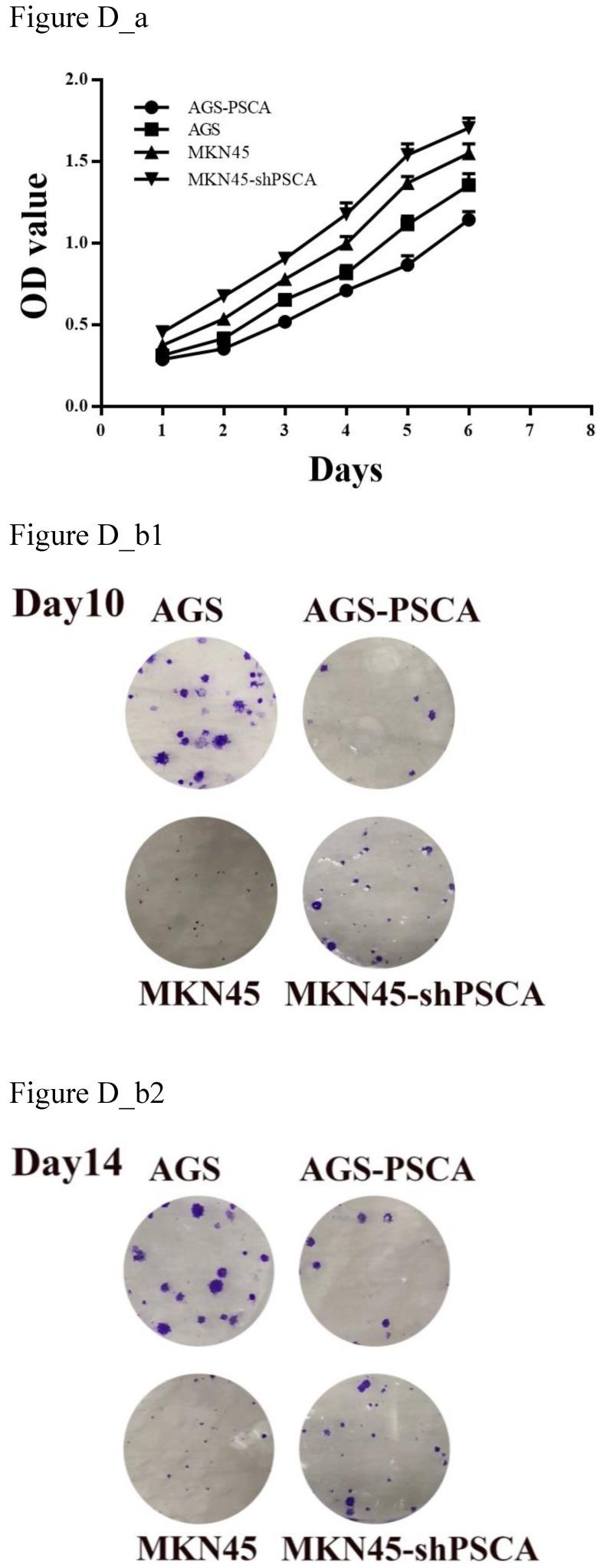 https://cdn.ncbi.nlm.nih.gov/pmc/blobs/026a/7066023/371bcca48fee/jcav11p2708g004.jpg