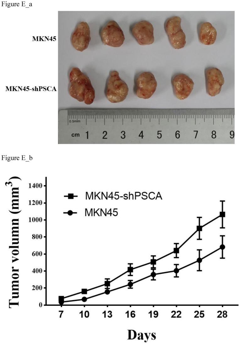 https://cdn.ncbi.nlm.nih.gov/pmc/blobs/026a/7066023/c4dc9cf259d2/jcav11p2708g005.jpg