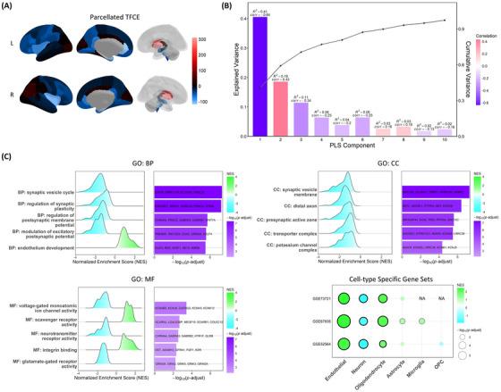 https://cdn.ncbi.nlm.nih.gov/pmc/blobs/026b/12010275/6f97a2218802/ALZ-21-e70196-g001.jpg