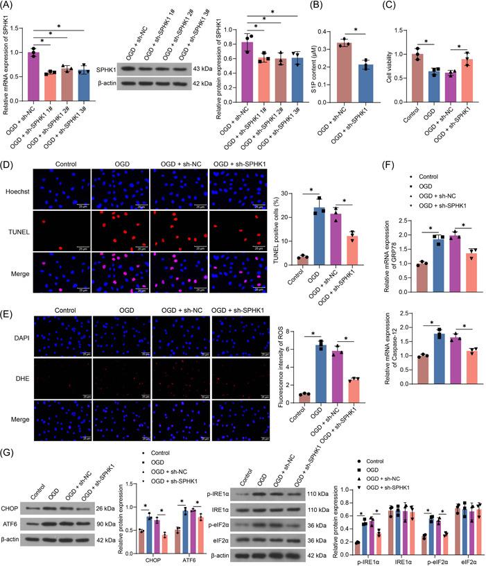 https://cdn.ncbi.nlm.nih.gov/pmc/blobs/026c/10540145/0a7e510e44f9/IID3-11-e998-g006.jpg