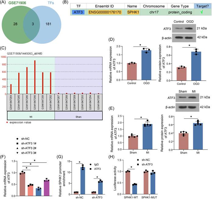 https://cdn.ncbi.nlm.nih.gov/pmc/blobs/026c/10540145/8aa258002852/IID3-11-e998-g003.jpg