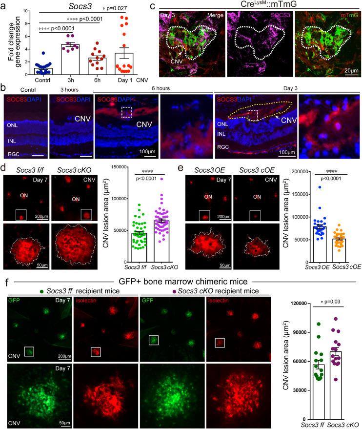 https://cdn.ncbi.nlm.nih.gov/pmc/blobs/026c/8546367/fc84d8bb34dc/gr2.jpg