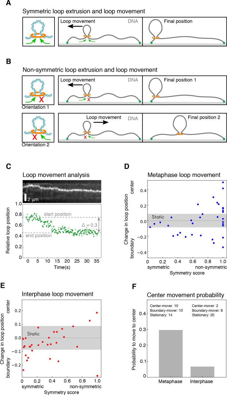https://cdn.ncbi.nlm.nih.gov/pmc/blobs/026f/7316503/195d9c4ed9e1/elife-53885-fig2-figsupp4.jpg