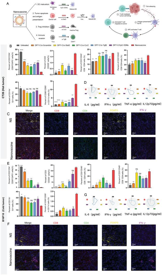 https://cdn.ncbi.nlm.nih.gov/pmc/blobs/0270/10625102/9130f600aa67/ADVS-10-2207697-g004.jpg