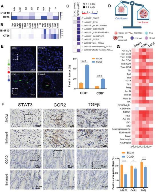 https://cdn.ncbi.nlm.nih.gov/pmc/blobs/0270/10625102/bf009d7bcb5a/ADVS-10-2207697-g006.jpg