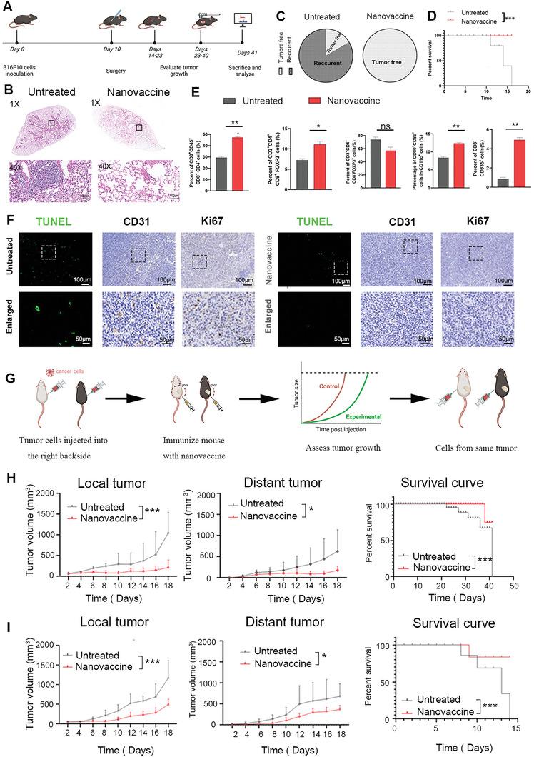 https://cdn.ncbi.nlm.nih.gov/pmc/blobs/0270/10625102/ea5eff906555/ADVS-10-2207697-g008.jpg