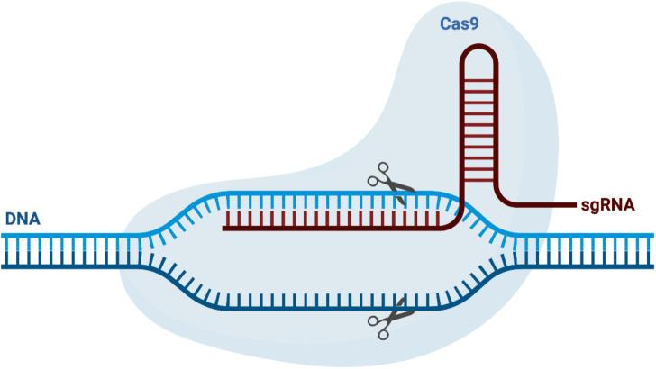 https://cdn.ncbi.nlm.nih.gov/pmc/blobs/0274/10916045/2f872974fbfa/NarraJ-3-e184-g001.jpg