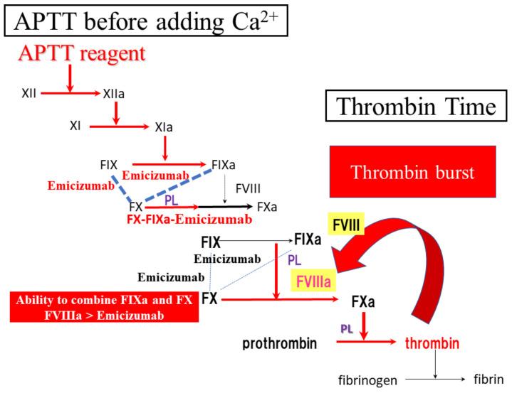 https://cdn.ncbi.nlm.nih.gov/pmc/blobs/0274/9605059/98b348074560/jcm-11-06142-g007.jpg