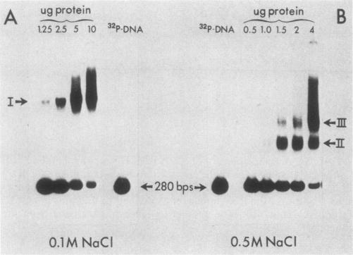 https://cdn.ncbi.nlm.nih.gov/pmc/blobs/0275/365136/8adf66c204de/molcellb00074-0234-a.jpg