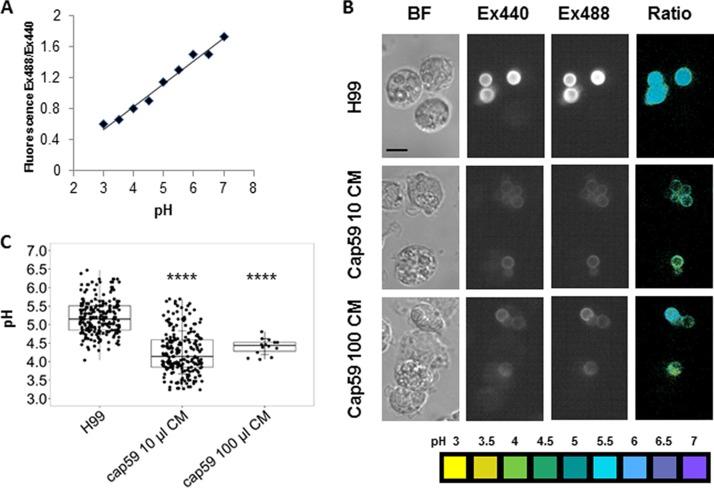 https://cdn.ncbi.nlm.nih.gov/pmc/blobs/0275/6200979/9add896036bd/sph0051826700003.jpg