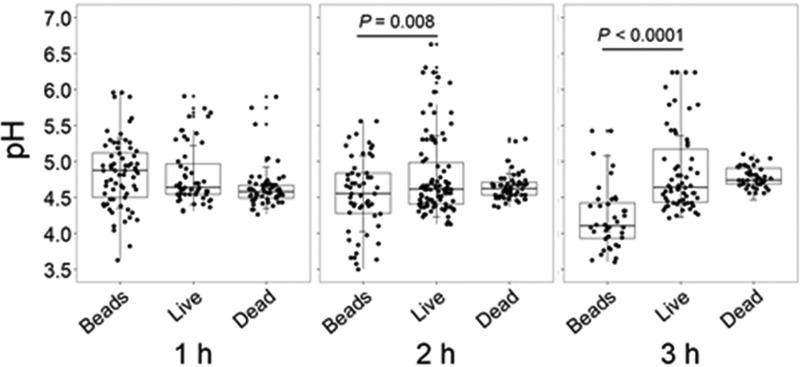 https://cdn.ncbi.nlm.nih.gov/pmc/blobs/0275/6200979/c99448f2ce77/sph0051826700001.jpg