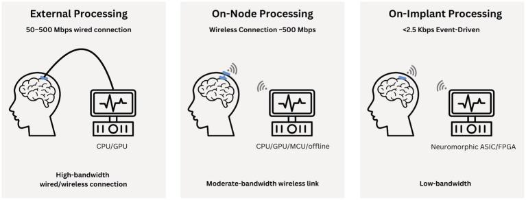 https://cdn.ncbi.nlm.nih.gov/pmc/blobs/0278/12021827/11cb95beb0e7/fnins-19-1570104-g001.jpg