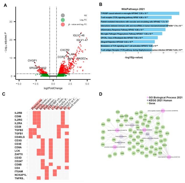 https://cdn.ncbi.nlm.nih.gov/pmc/blobs/0279/10377286/374fc21152a4/cancers-15-03649-g004.jpg