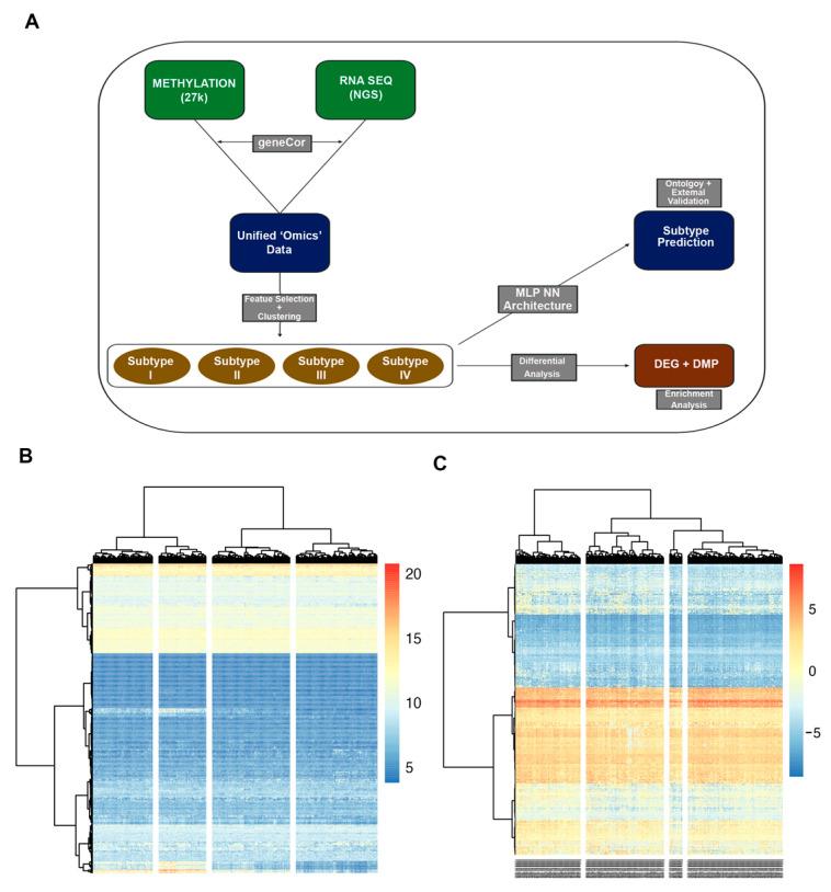 https://cdn.ncbi.nlm.nih.gov/pmc/blobs/0279/10377286/b9ab9ab135f6/cancers-15-03649-g001.jpg