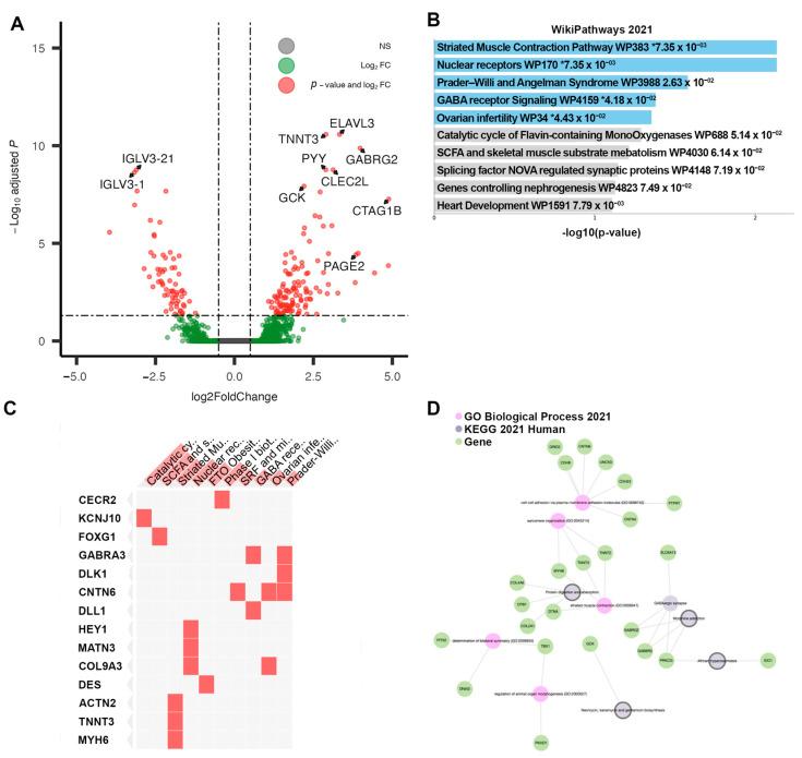https://cdn.ncbi.nlm.nih.gov/pmc/blobs/0279/10377286/bd6645d4b0c4/cancers-15-03649-g006.jpg