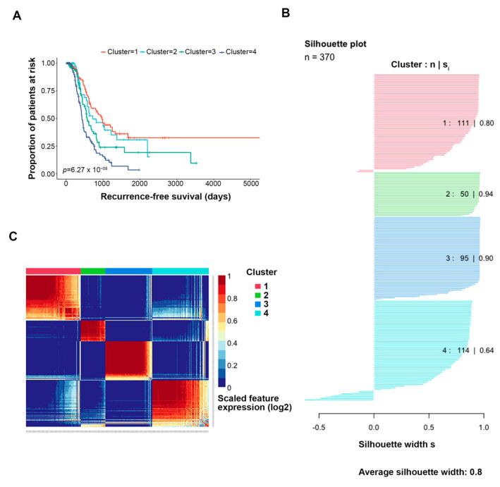 https://cdn.ncbi.nlm.nih.gov/pmc/blobs/0279/10377286/d9bf97ecf593/cancers-15-03649-g002.jpg