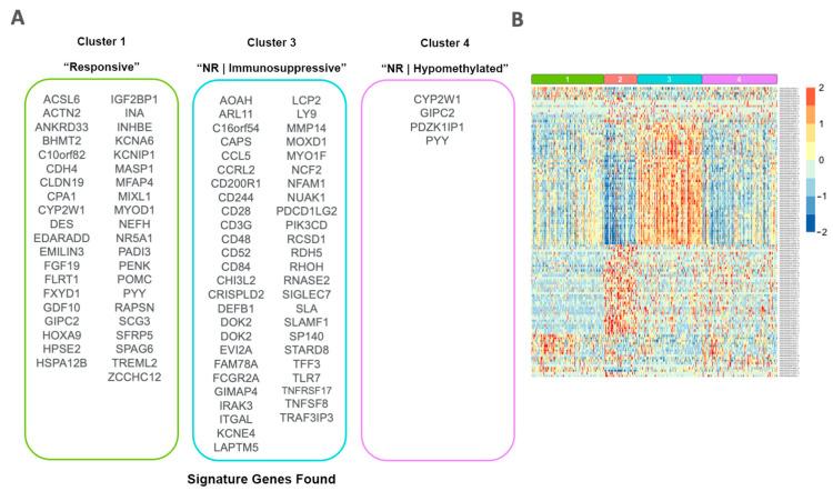 https://cdn.ncbi.nlm.nih.gov/pmc/blobs/0279/10377286/ee49761d17c2/cancers-15-03649-g009.jpg