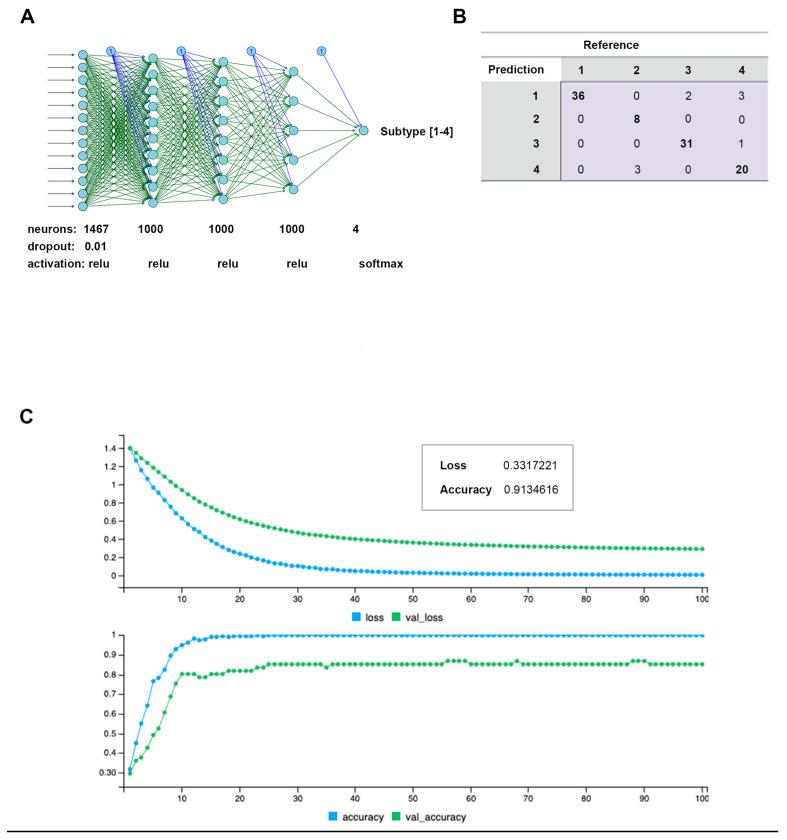 https://cdn.ncbi.nlm.nih.gov/pmc/blobs/0279/10377286/f8a4bc75a82d/cancers-15-03649-g007.jpg