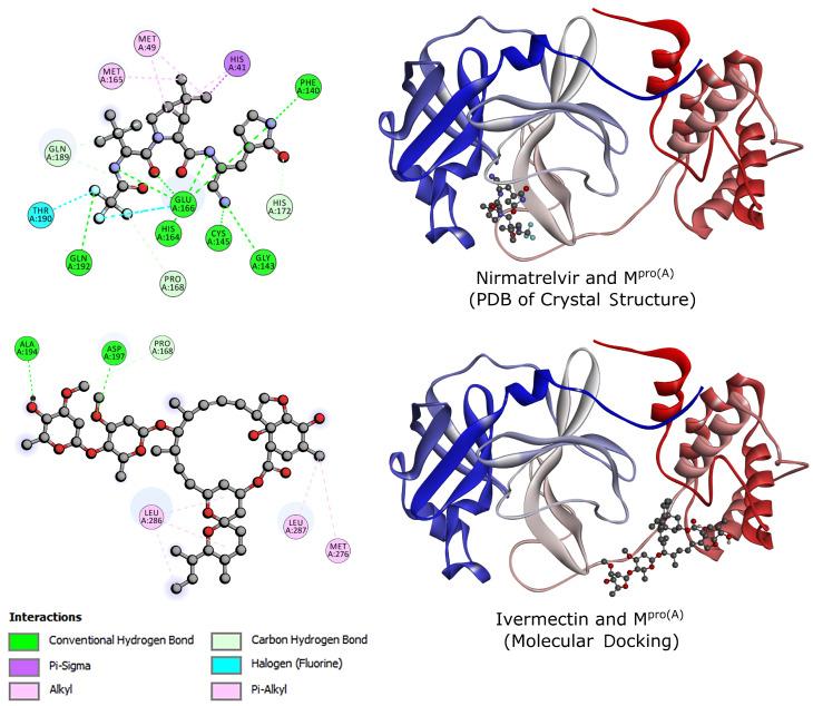 https://cdn.ncbi.nlm.nih.gov/pmc/blobs/027a/11274663/6b8598577d5c/biomolecules-14-00755-g002.jpg