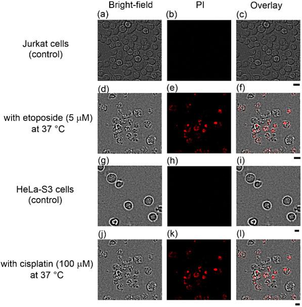 https://cdn.ncbi.nlm.nih.gov/pmc/blobs/027a/11375786/1b1f55267000/bi4c00085_0002.jpg
