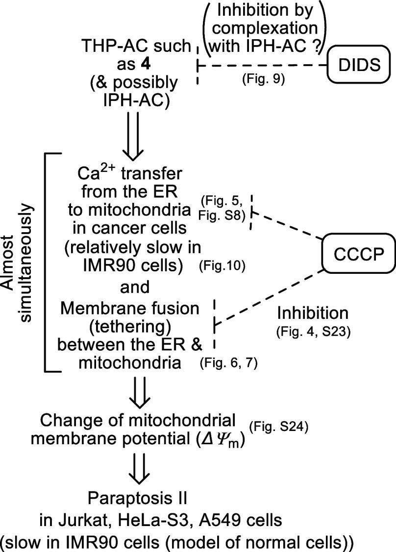 https://cdn.ncbi.nlm.nih.gov/pmc/blobs/027a/11375786/27bd798736d6/bi4c00085_0016.jpg