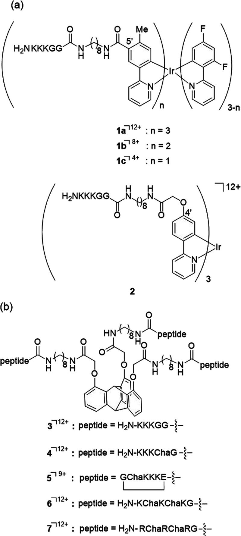 https://cdn.ncbi.nlm.nih.gov/pmc/blobs/027a/11375786/4d707bc7fcd7/bi4c00085_0012.jpg