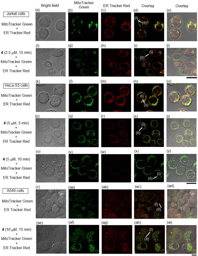 https://cdn.ncbi.nlm.nih.gov/pmc/blobs/027a/11375786/58a209e5f1bf/bi4c00085_0006.jpg
