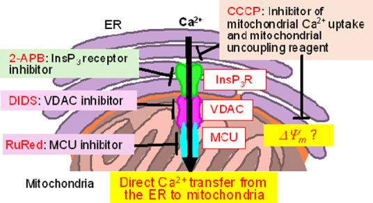 https://cdn.ncbi.nlm.nih.gov/pmc/blobs/027a/11375786/6c61cacc17e6/bi4c00085_0015.jpg