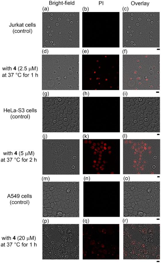 https://cdn.ncbi.nlm.nih.gov/pmc/blobs/027a/11375786/bae9fefc80a8/bi4c00085_0001.jpg