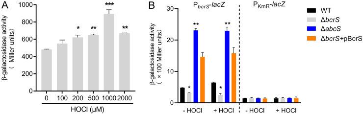 https://cdn.ncbi.nlm.nih.gov/pmc/blobs/027a/8315932/20978581c176/jb.00127-21-f0004.jpg