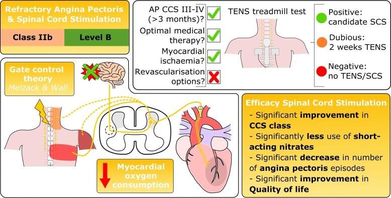 https://cdn.ncbi.nlm.nih.gov/pmc/blobs/027a/9825802/cba8ef256339/oeac083_ga1.jpg