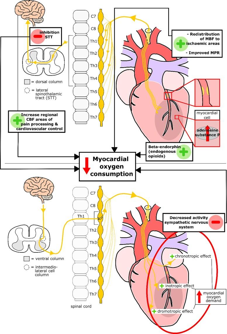 https://cdn.ncbi.nlm.nih.gov/pmc/blobs/027a/9825802/fa895ed5ed01/oeac083f6.jpg