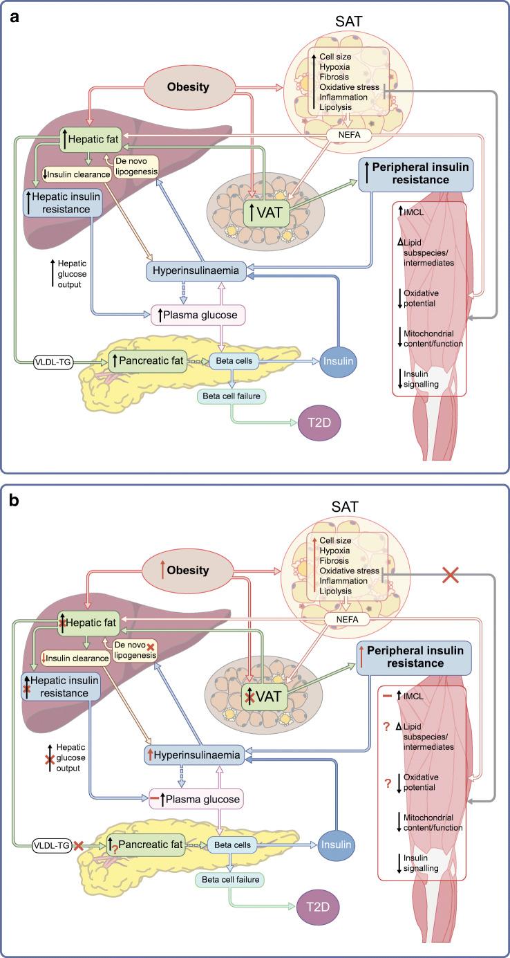 https://cdn.ncbi.nlm.nih.gov/pmc/blobs/027c/9630207/571ff7526673/125_2022_5795_Fig1_HTML.jpg