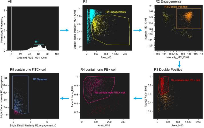 https://cdn.ncbi.nlm.nih.gov/pmc/blobs/027d/10368424/8024103a9833/elife-83659-fig1-figsupp2.jpg