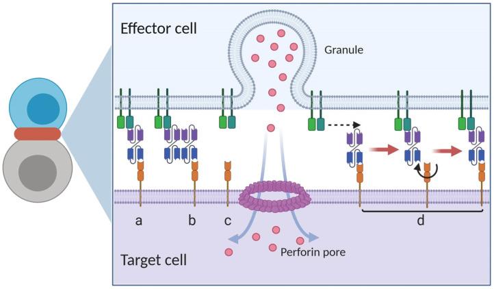 https://cdn.ncbi.nlm.nih.gov/pmc/blobs/027d/10368424/d40758ef01ae/elife-83659-app1-fig2.jpg
